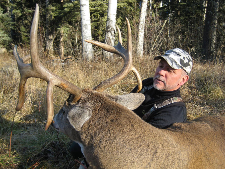 alberta whitetail deer hunting