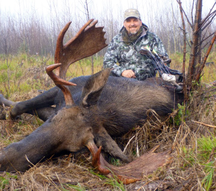 Moose Hunting with Rogue in Alberta