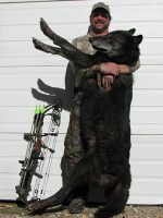 alberta canada wolf hunt Rogue Ventures