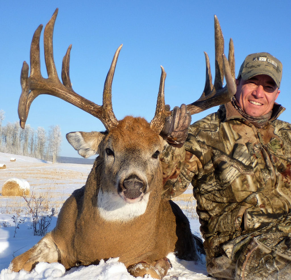 alberta whitetail deer hunting