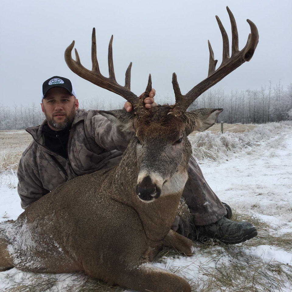 whitetail deer hunting