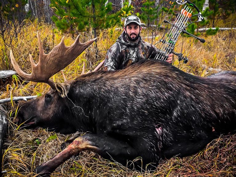 Moose Bow Hunts Hunt Rogue Alberta Canada Hunting Outfitters