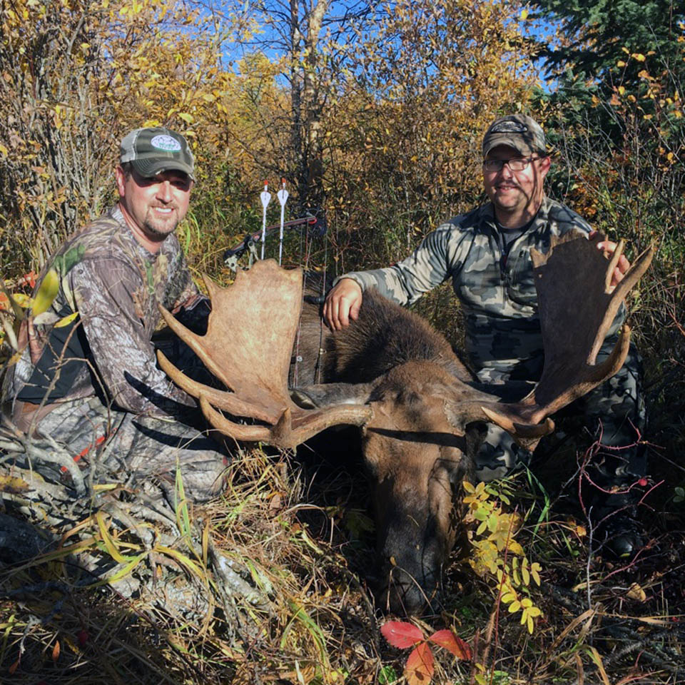 Canada moose hunts