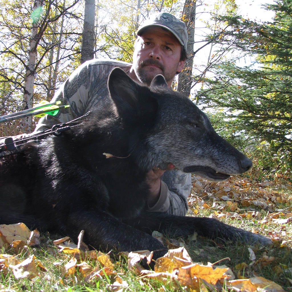 Hunt Rogue Wolf Hunting Outfitters