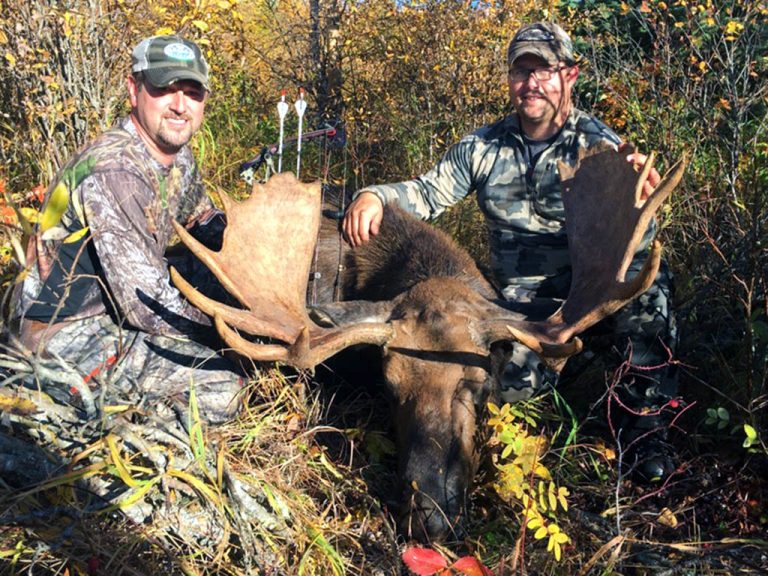 Moose Bow Hunts Hunt Rogue Alberta Canada Hunting Outfitters